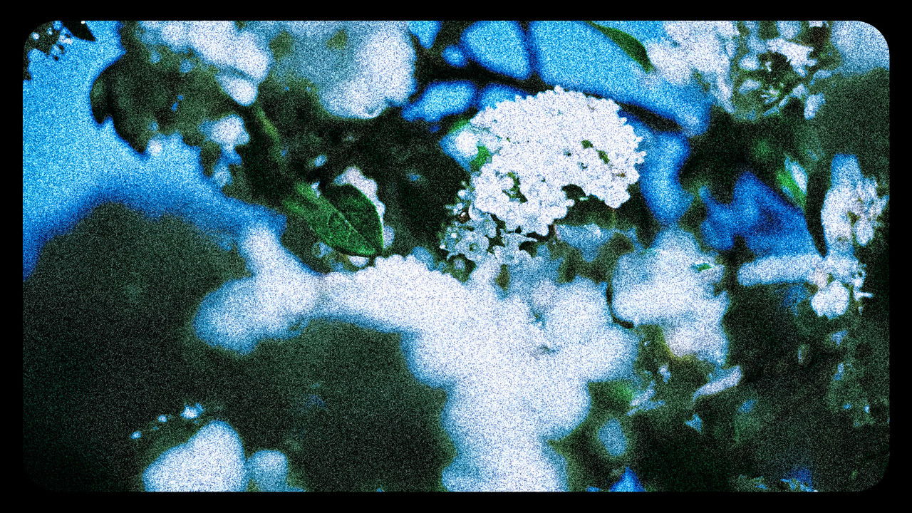 Backdrop image for movie Flowers (III)