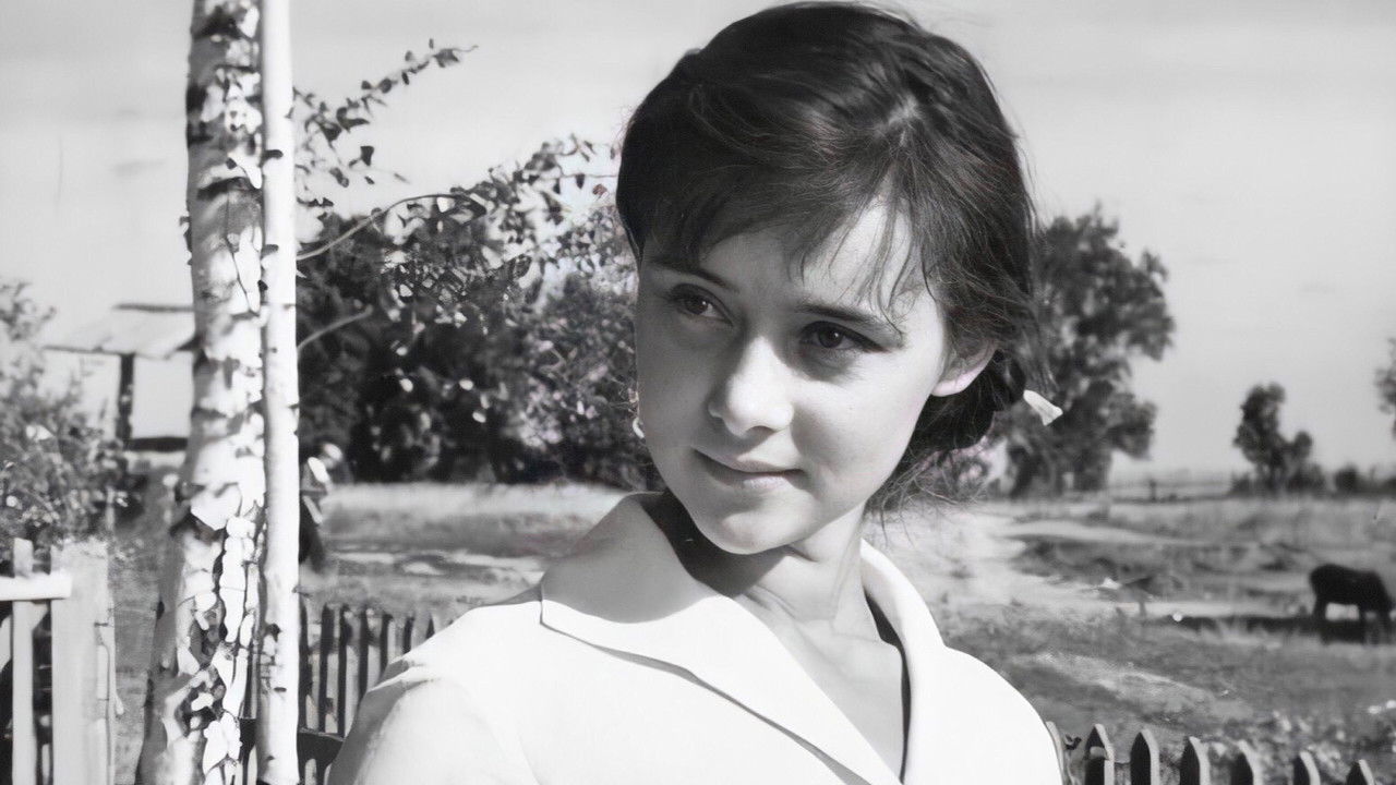 Backdrop image for movie Until Next Spring