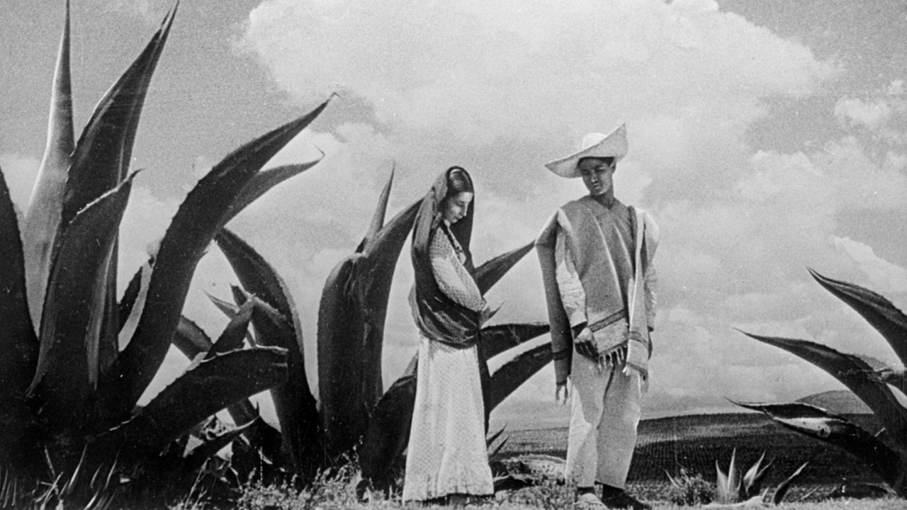 Backdrop image for movie Time in the Sun