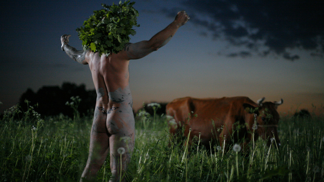 Backdrop image for movie Midsummer Madness