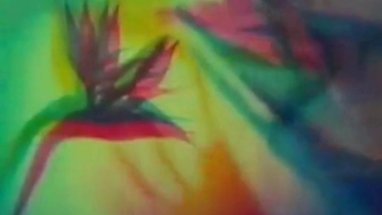Backdrop image for movie The Psychedelic Experience