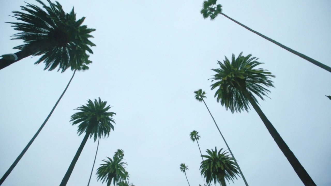 Backdrop image for movie Sleepover LA