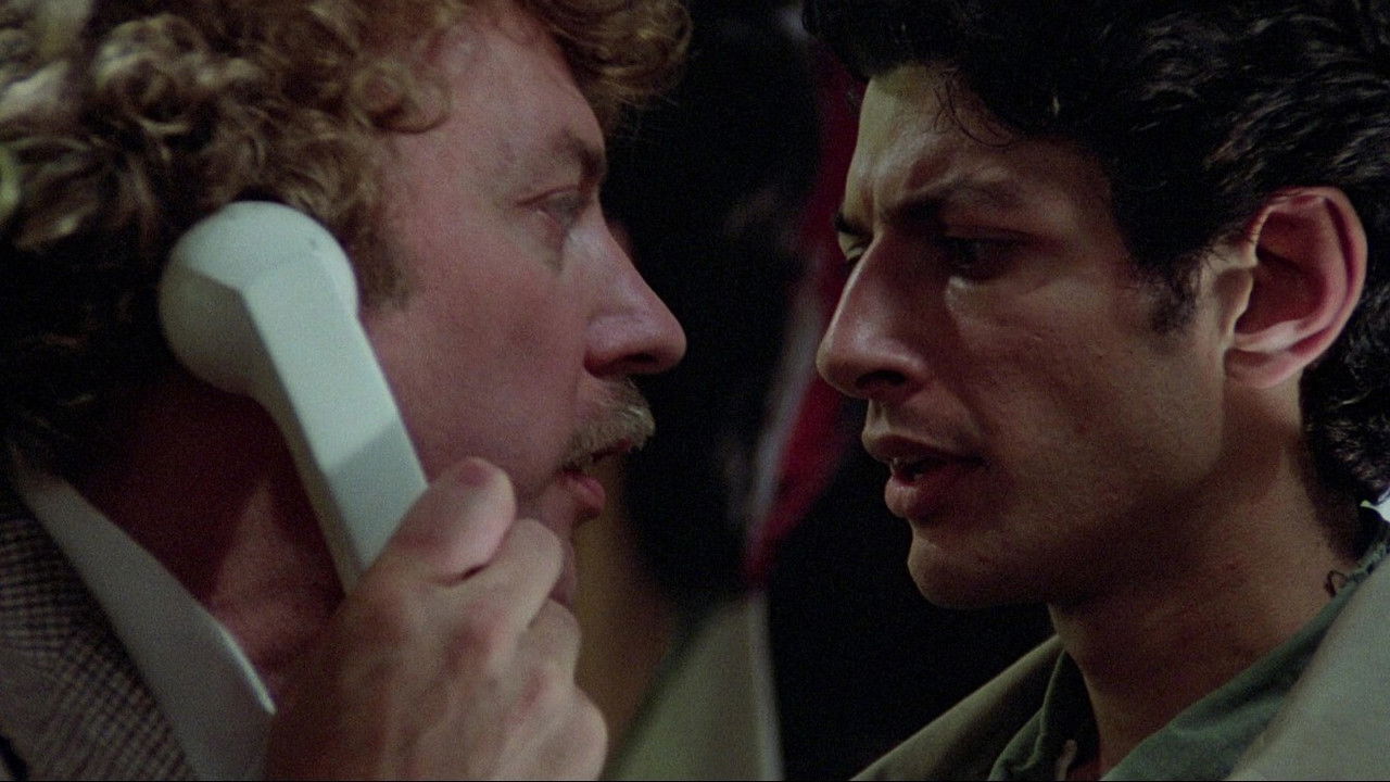 Backdrop image for movie Invasion of the Body Snatchers