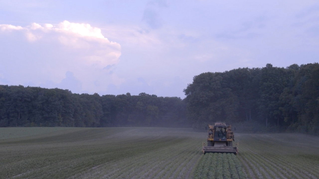 Backdrop image for movie Can You Hear Us Now?