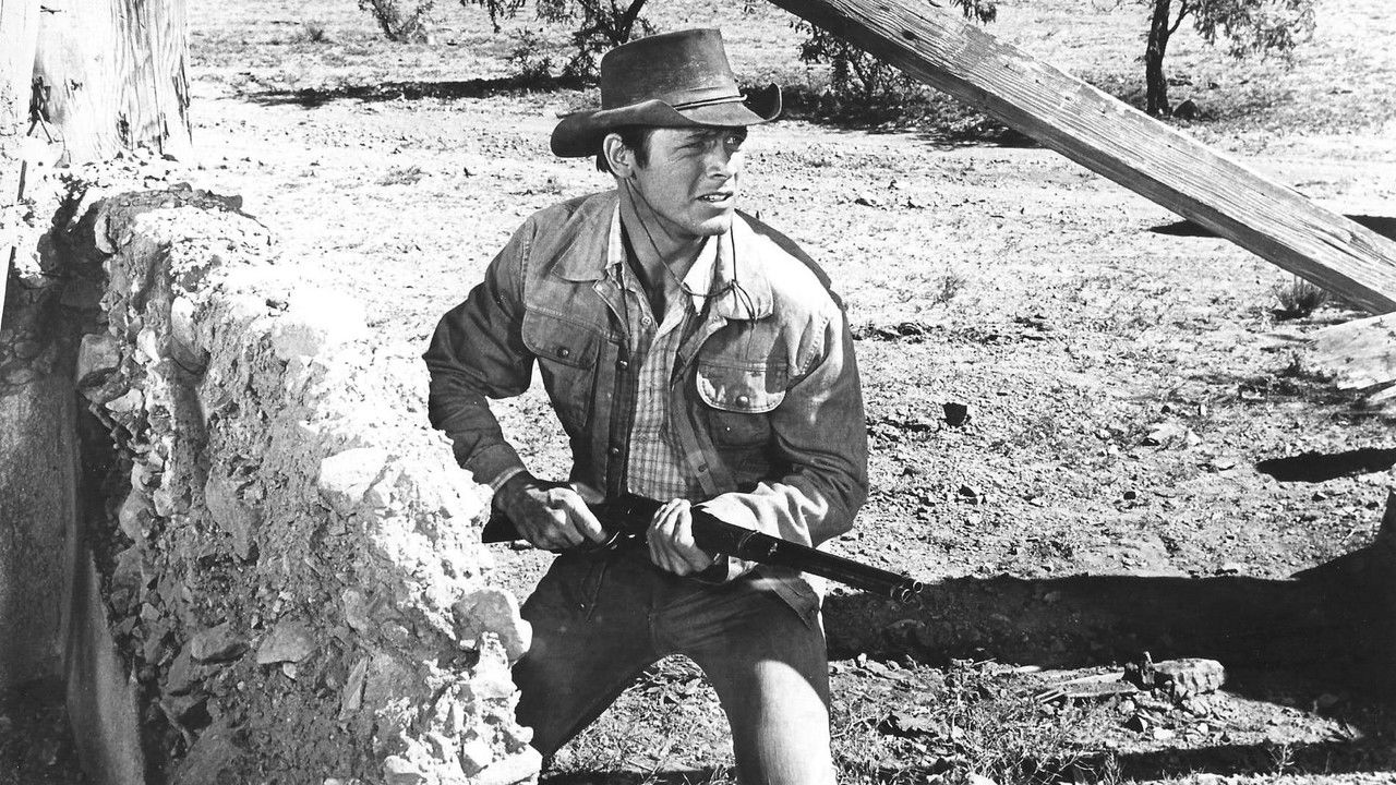 Backdrop image for movie Return of the Gunfighter