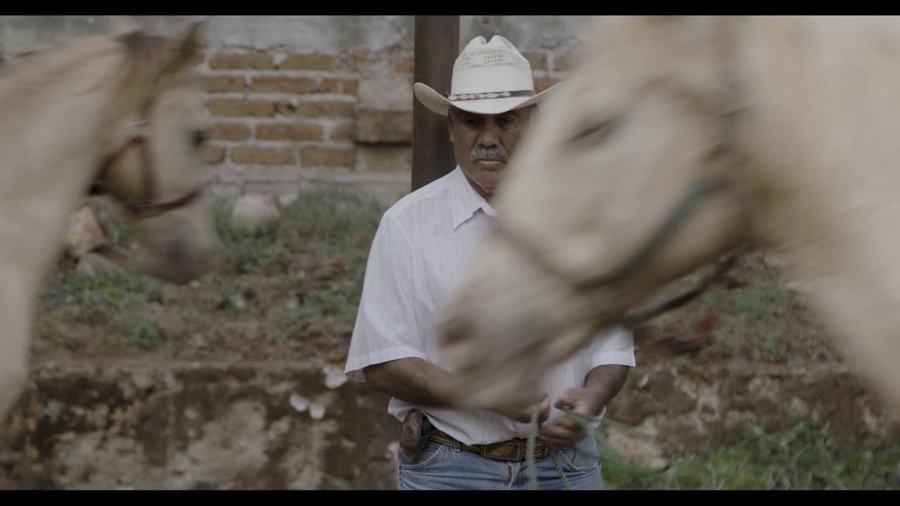 Backdrop image for movie Horse Wrangler