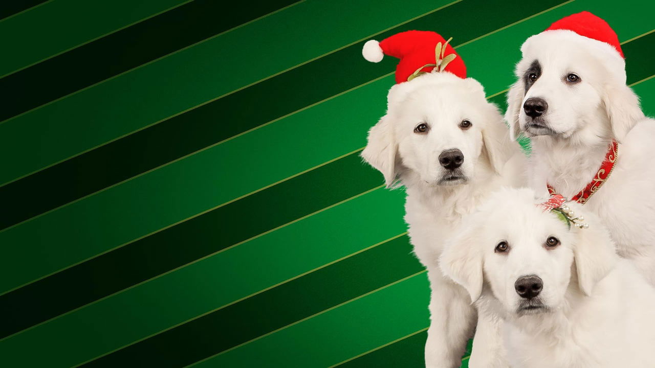 Backdrop image for movie Santa Buddies