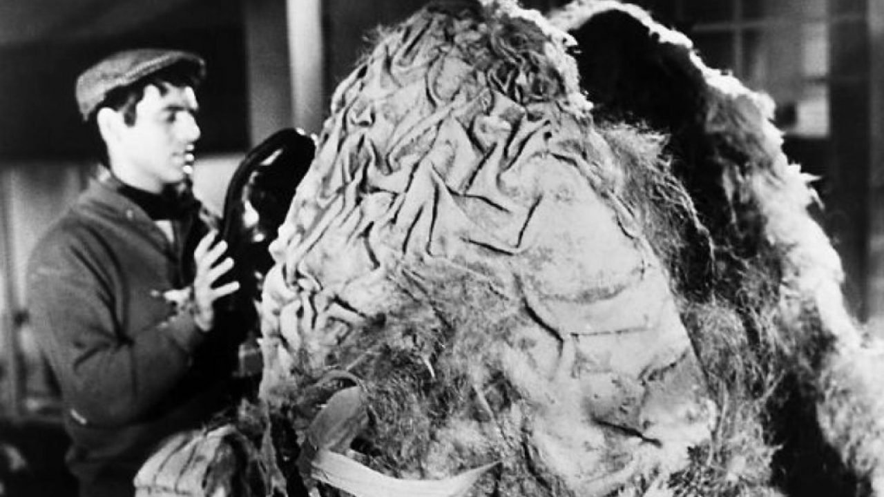 Backdrop image for movie The Little Shop of Horrors