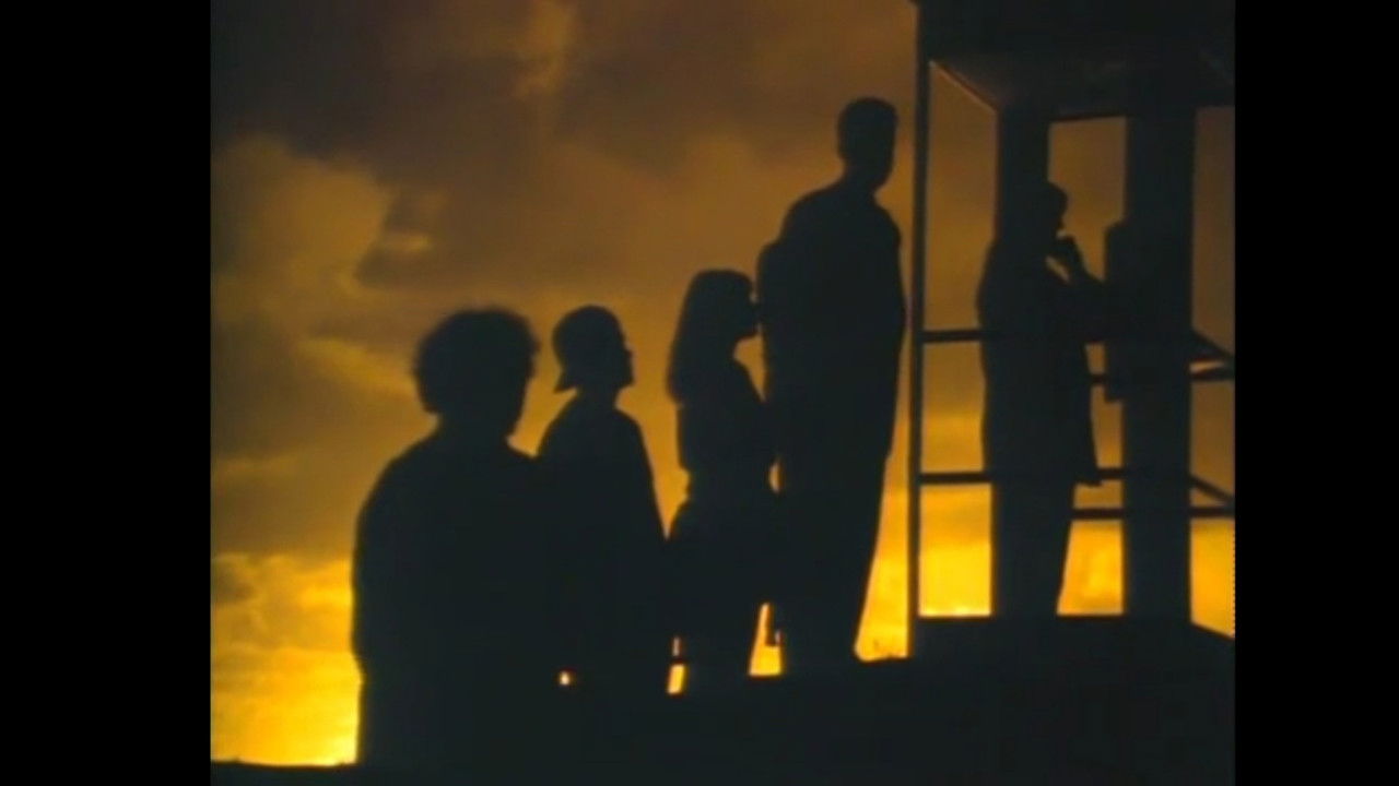 Backdrop image for movie Mr. Petrified Forrest