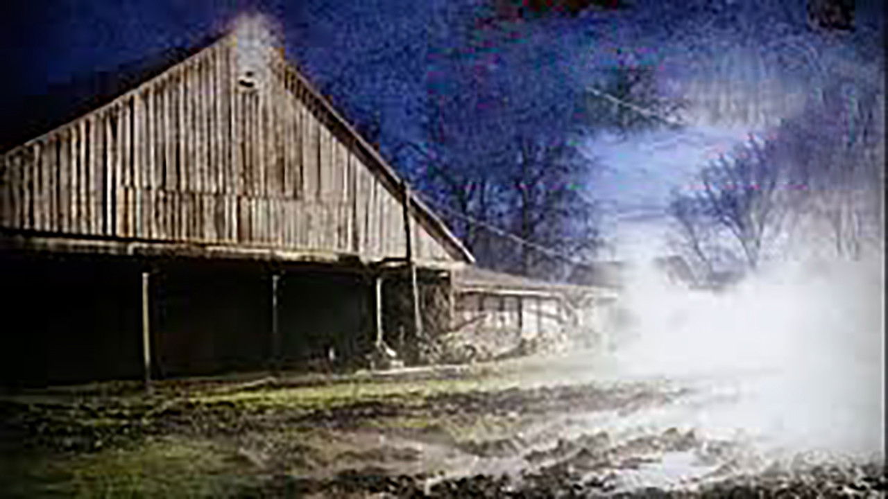 Backdrop image for movie The Pig Farm