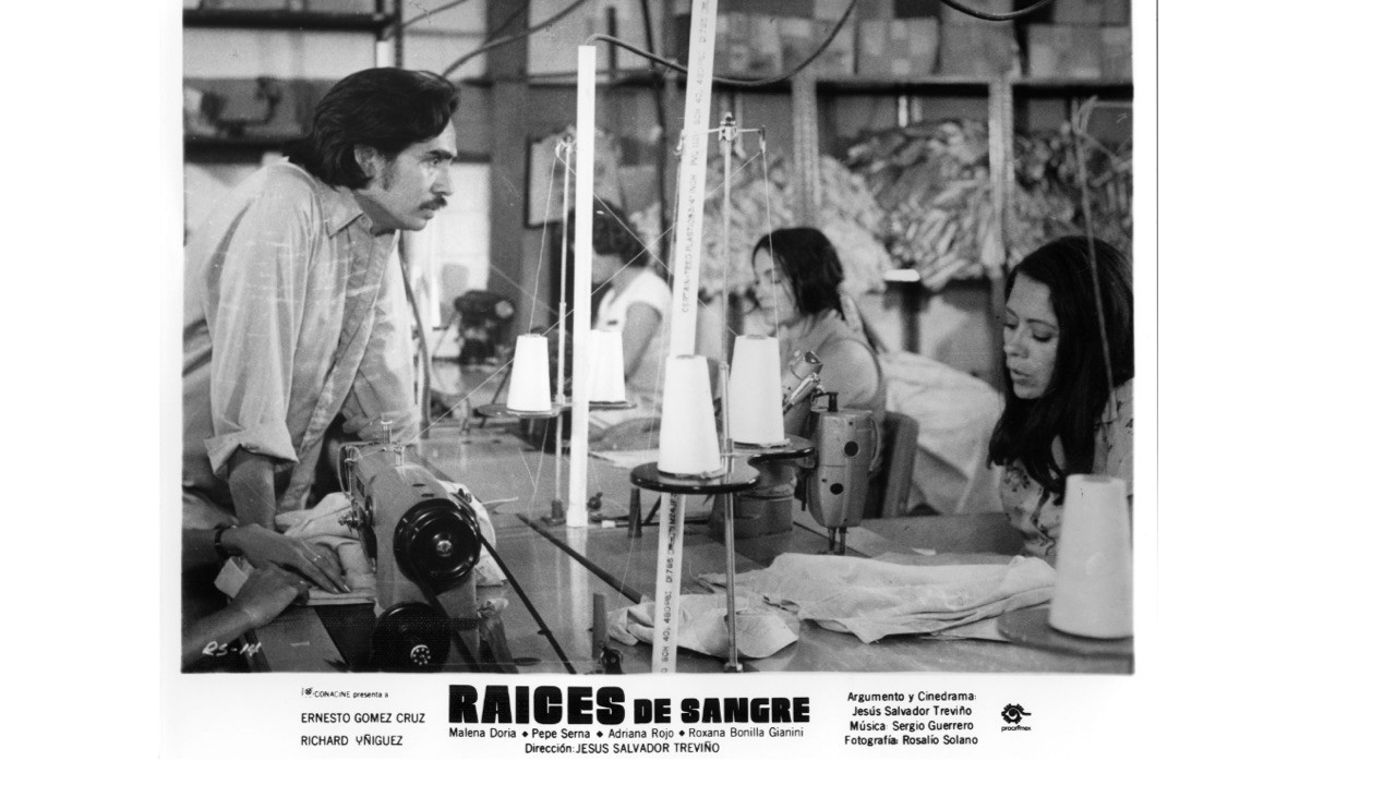 Backdrop image for movie Roots of Blood