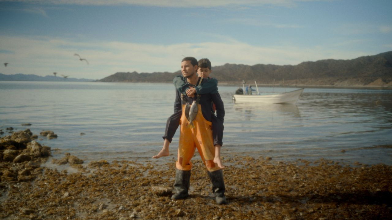 Backdrop image for movie Una mano bajo la nieve y otras historias