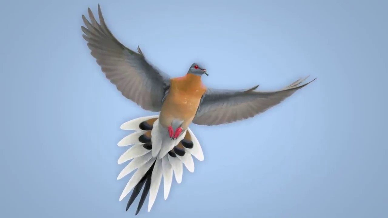 Backdrop image for movie From Billions to None: The Passenger Pigeon's Flight to Extinction