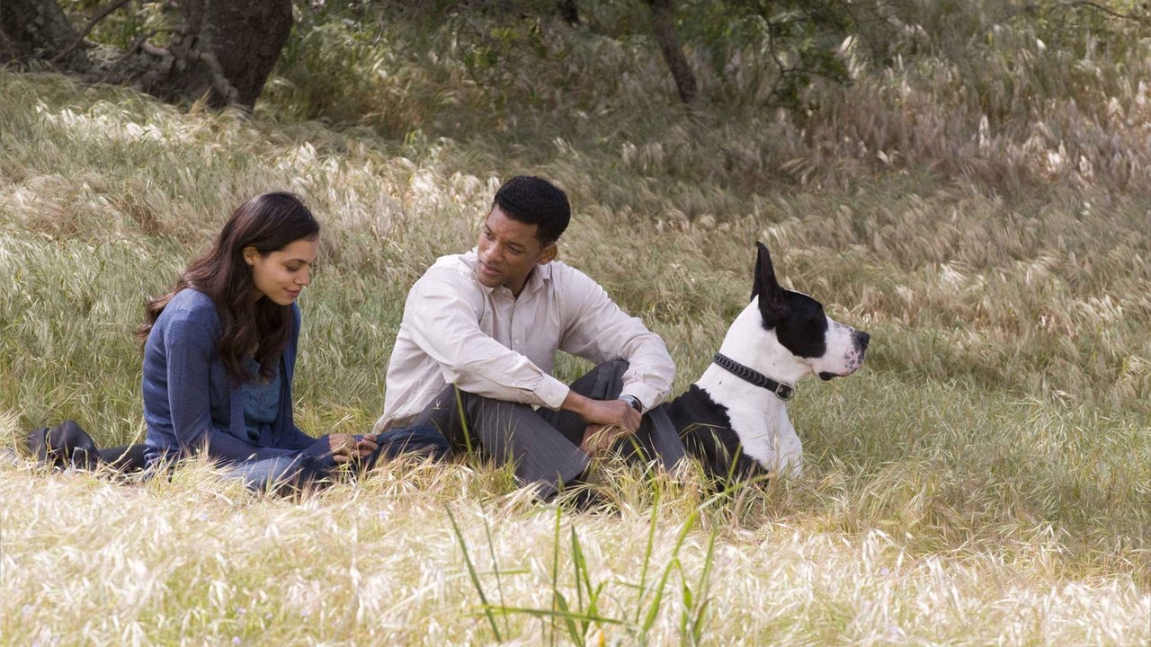 Backdrop image for movie Seven Pounds