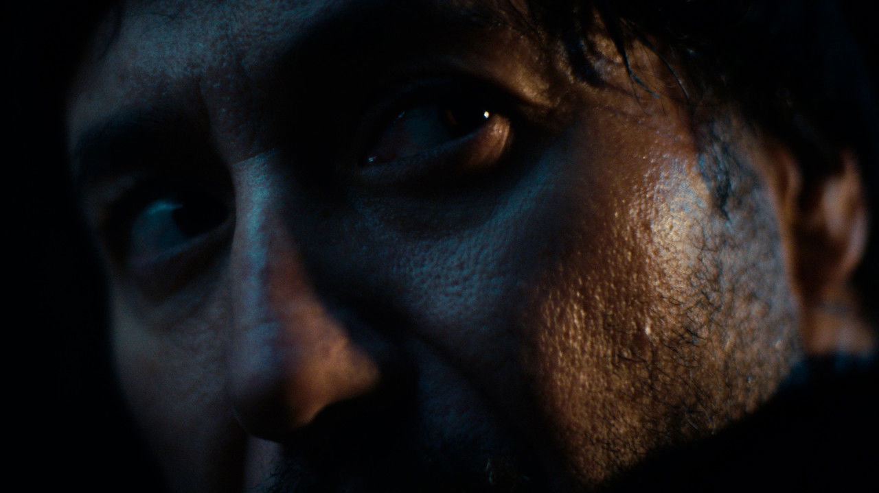 Backdrop image for movie Cava