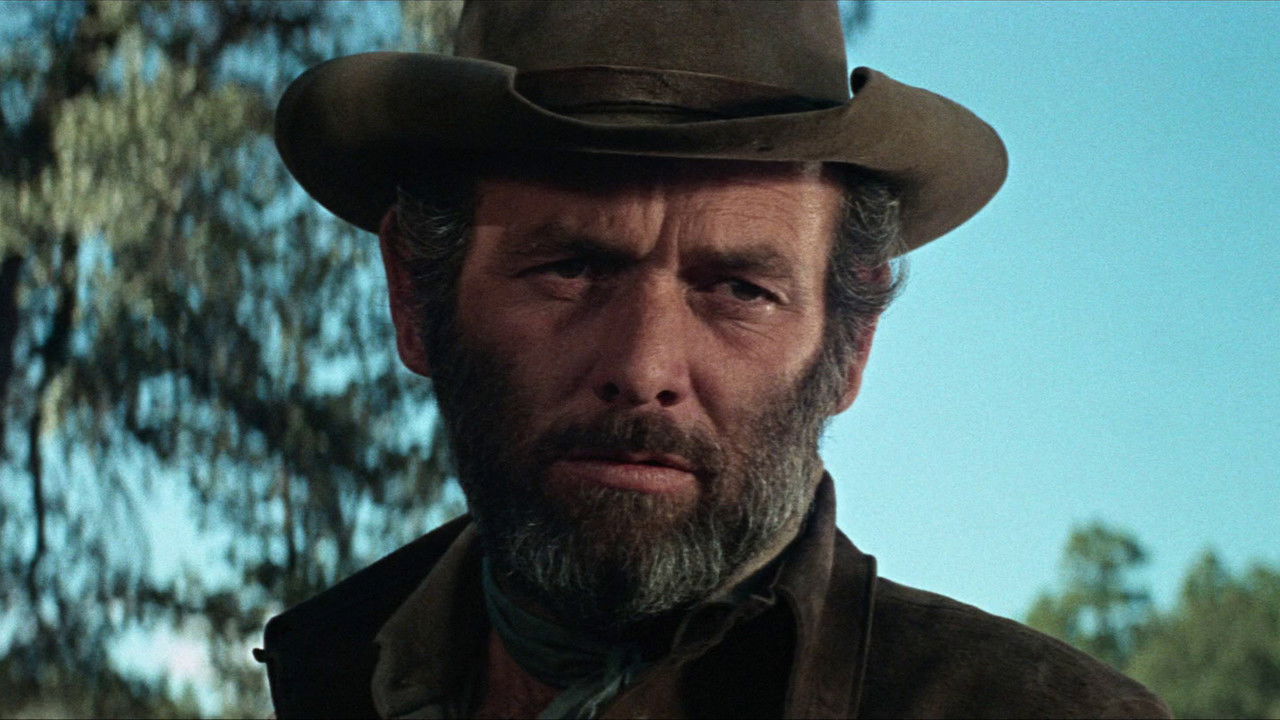 Backdrop image for movie Macho Callahan