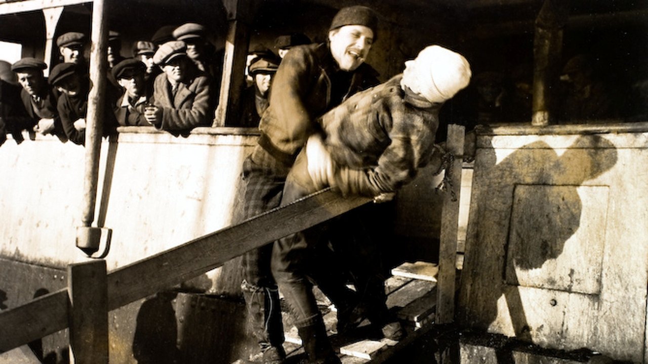 Backdrop image for movie The Viking
