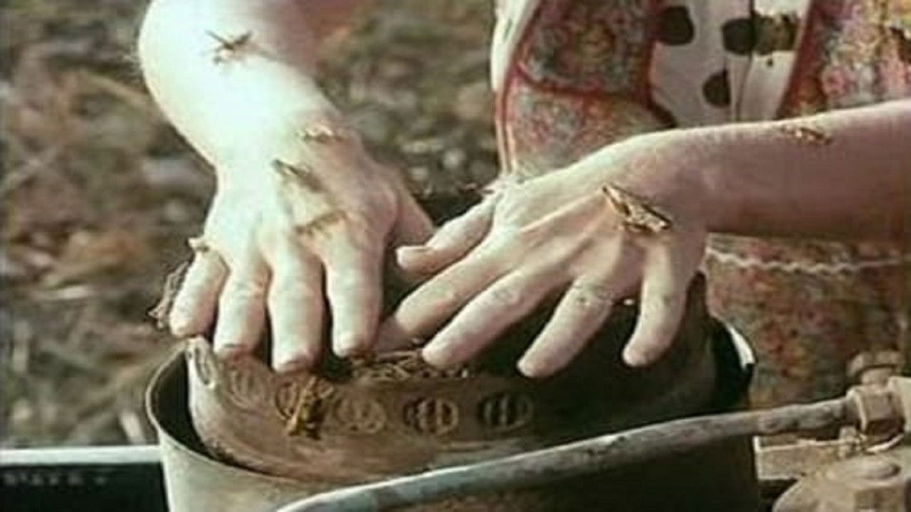 Backdrop image for movie Locusts