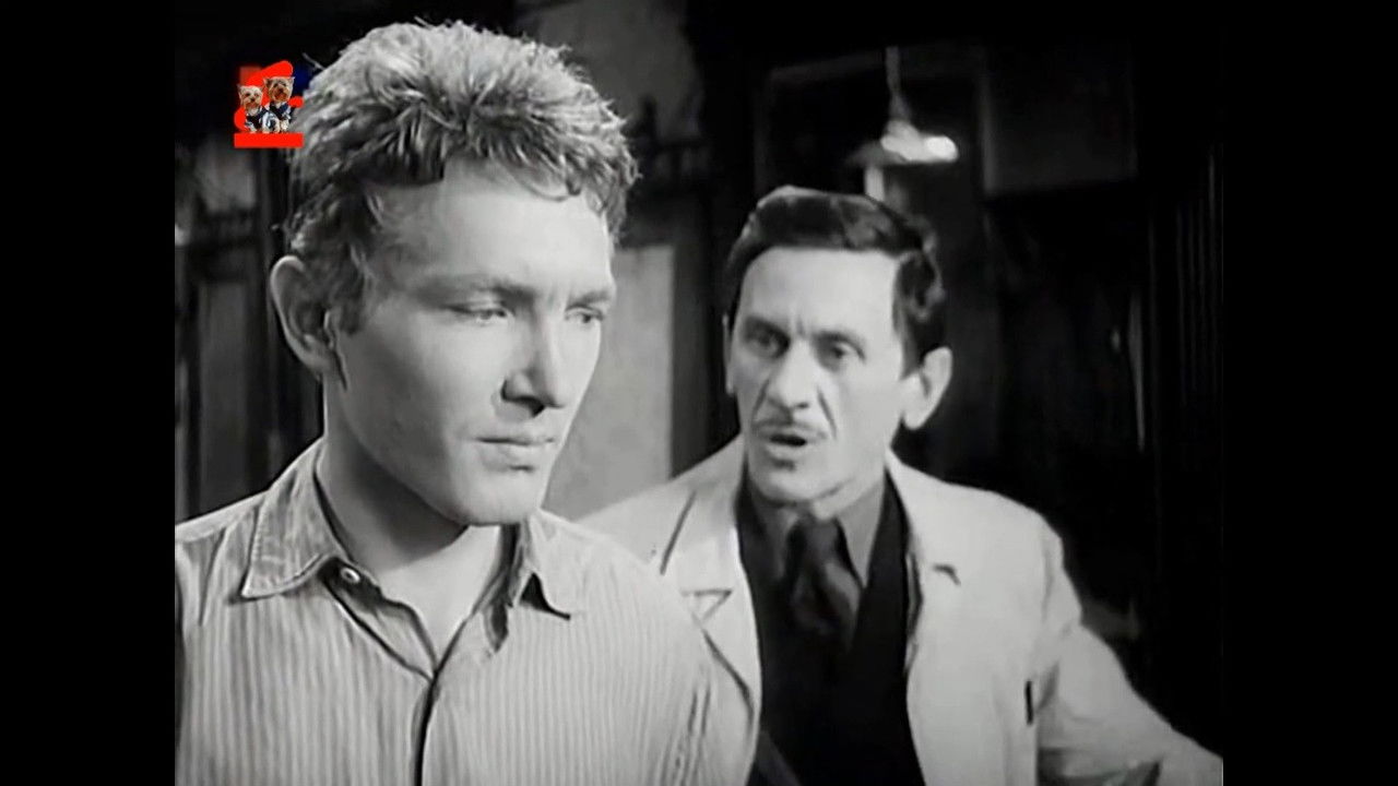 Backdrop image for movie Saint Elizabeth Square