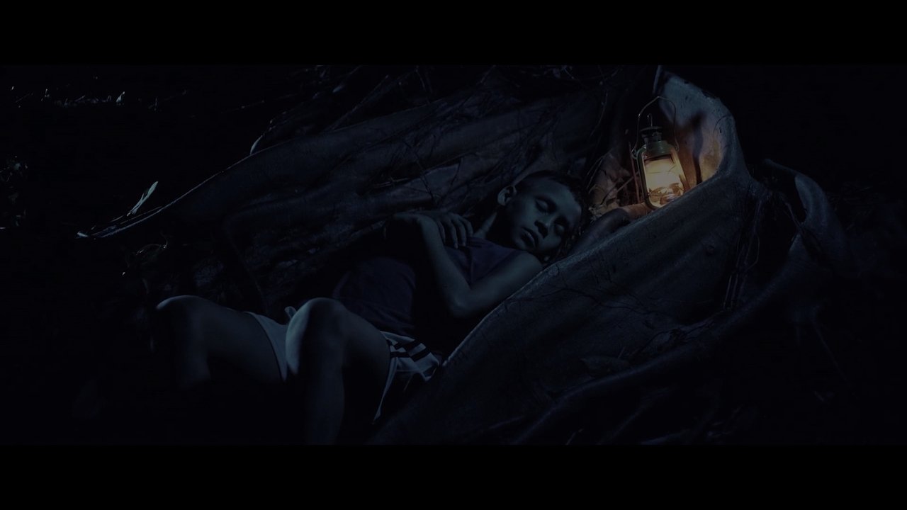 Backdrop image for movie The Silence of the River