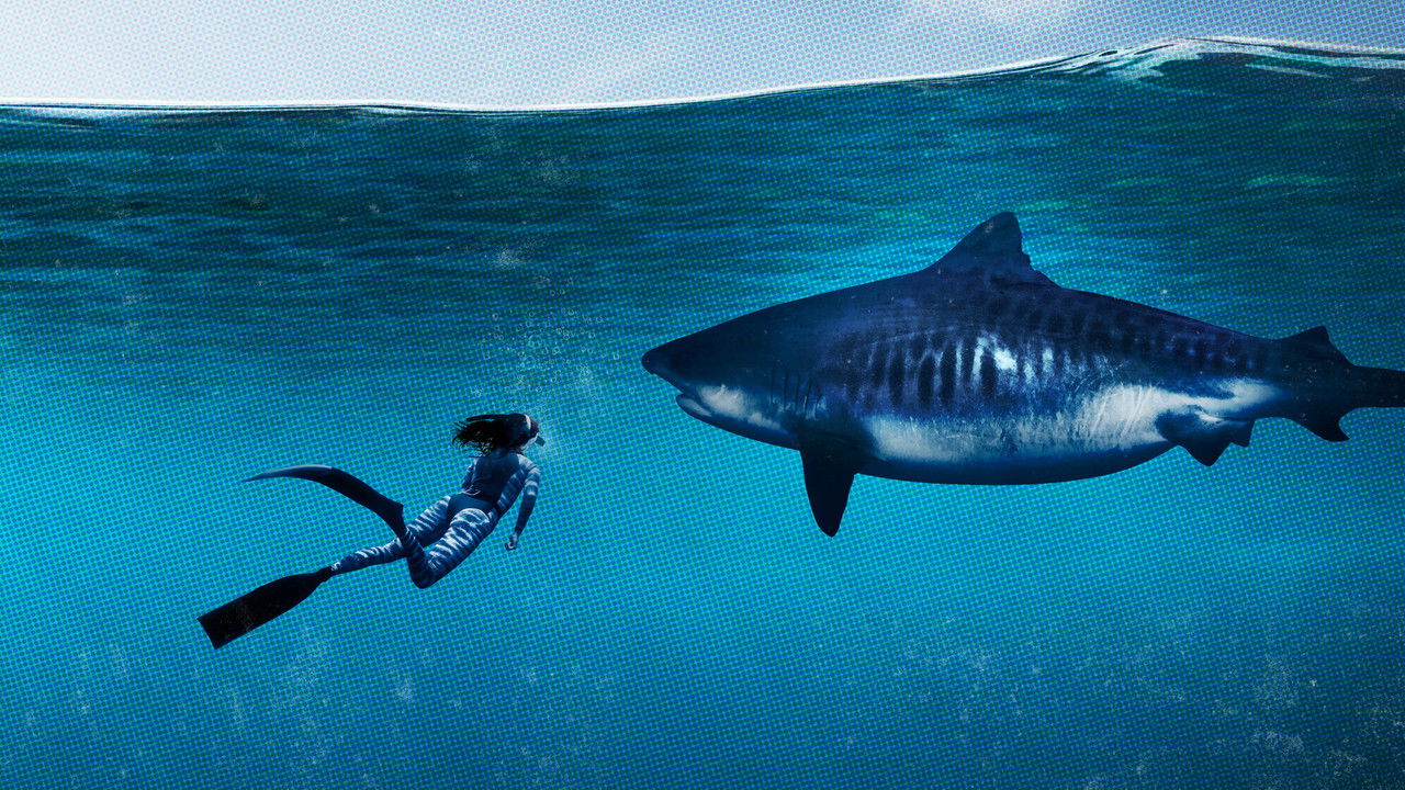 Backdrop image for movie World's Biggest Tiger Shark