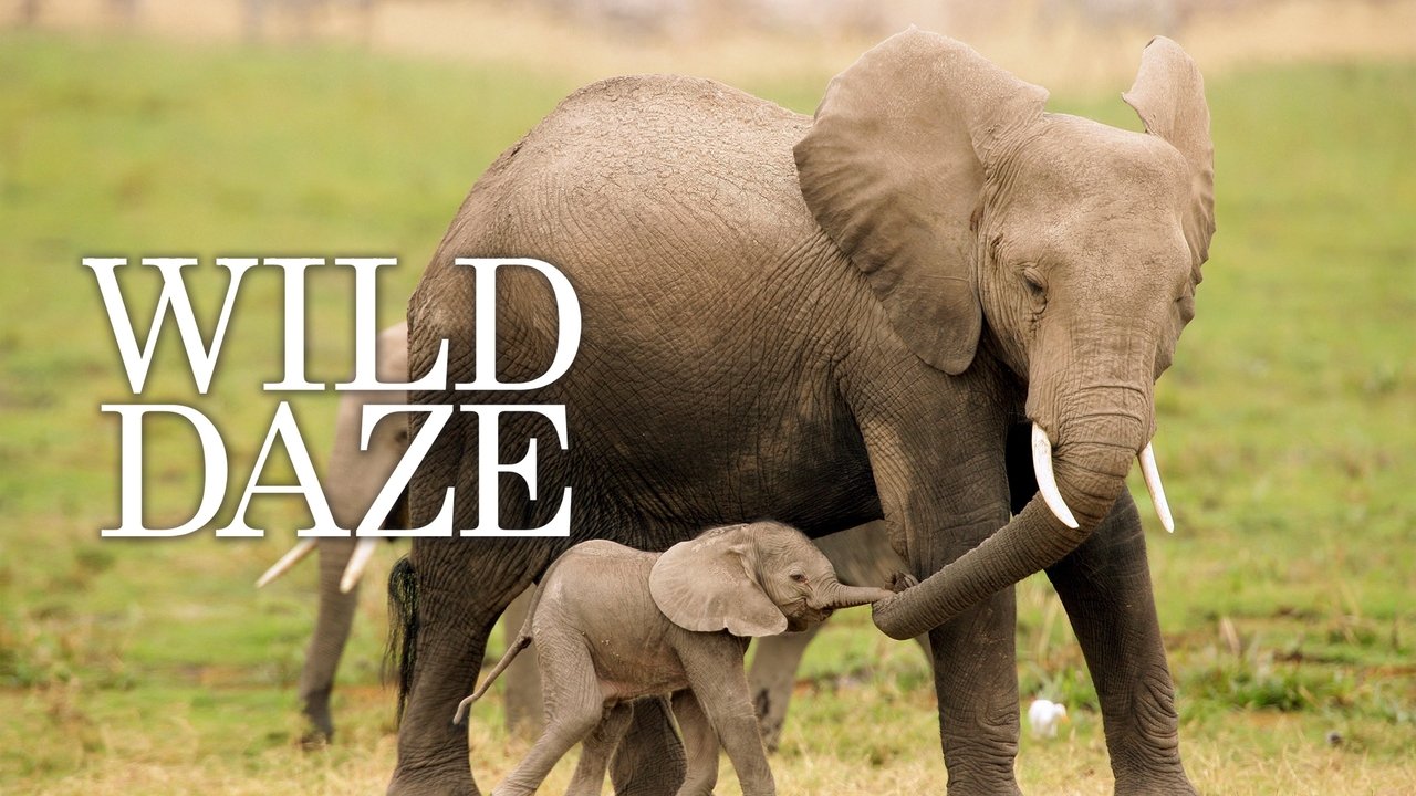 Backdrop image for movie Wild Daze