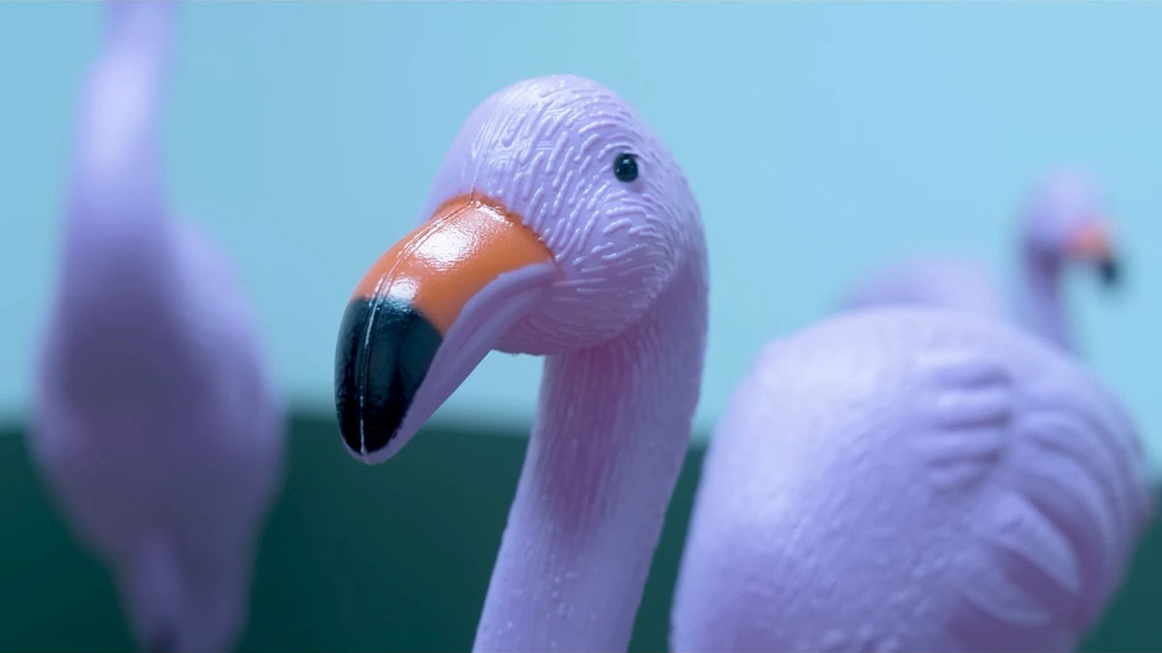 Backdrop image for movie SCP: The Corpse