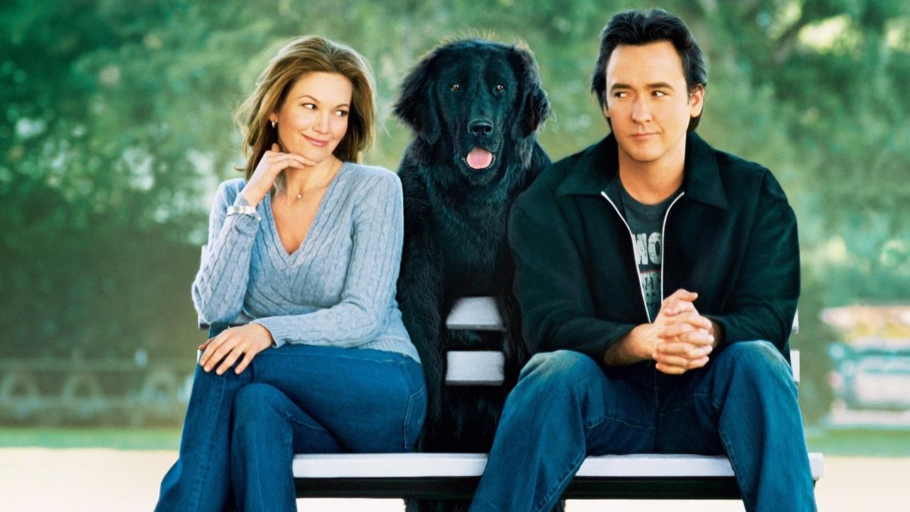 Backdrop image for movie Must Love Dogs