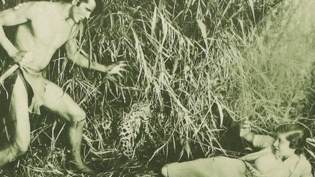 Backdrop image for movie The New Adventures of Tarzan