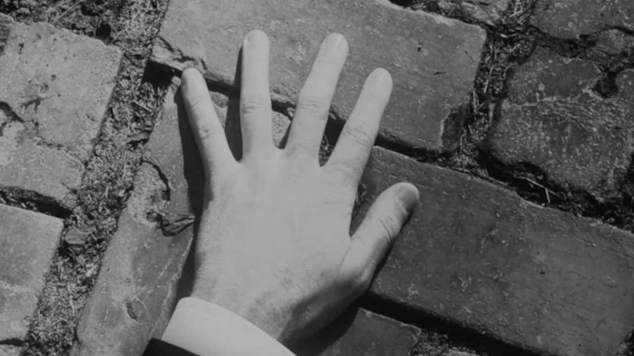 Backdrop image for movie The Garden, the Artist, & the Vampire