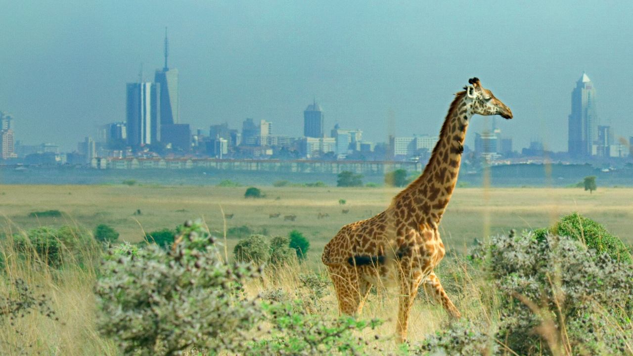Backdrop image for movie Breaking Boundaries: The Science of Our Planet