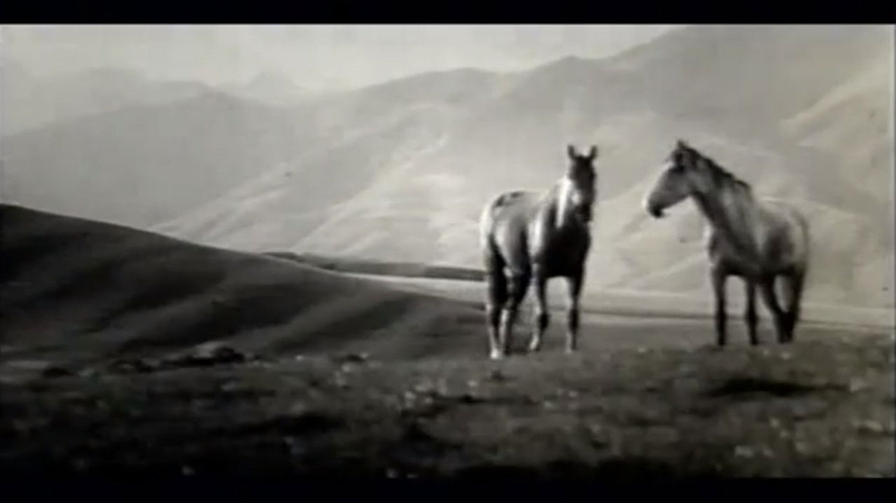 Backdrop image for movie There Are Horses