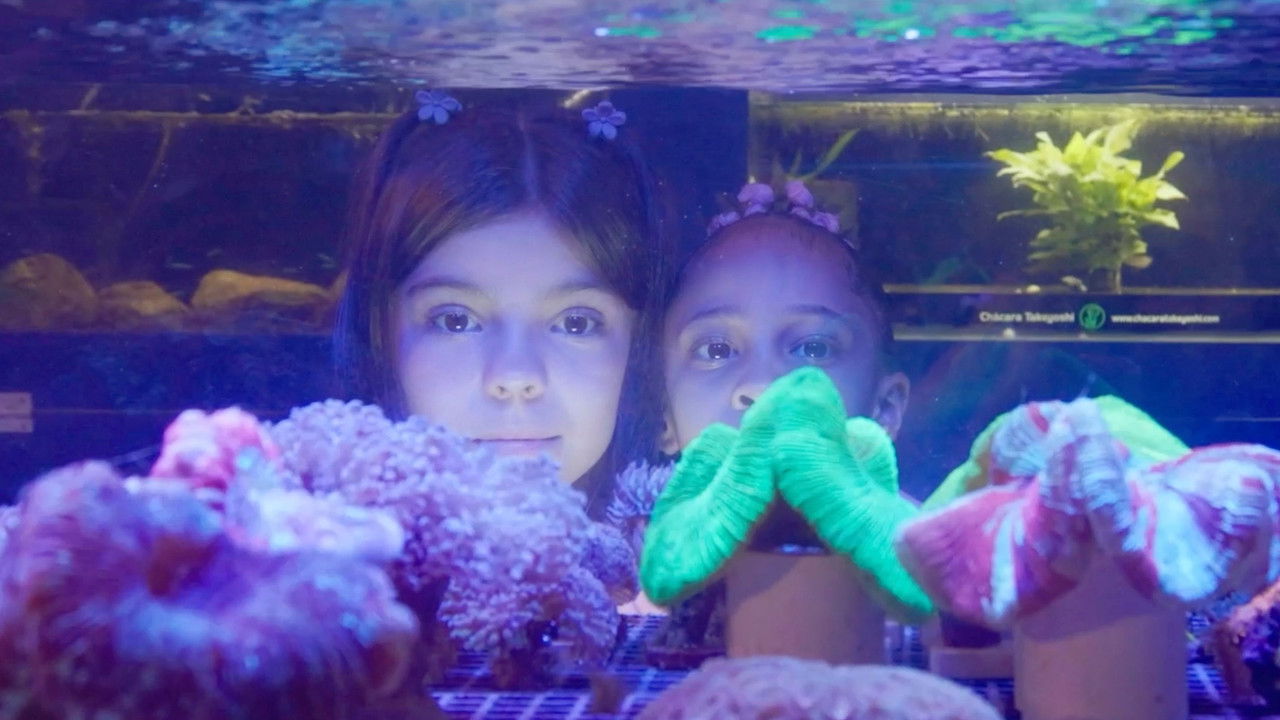 Backdrop image for movie Aquário