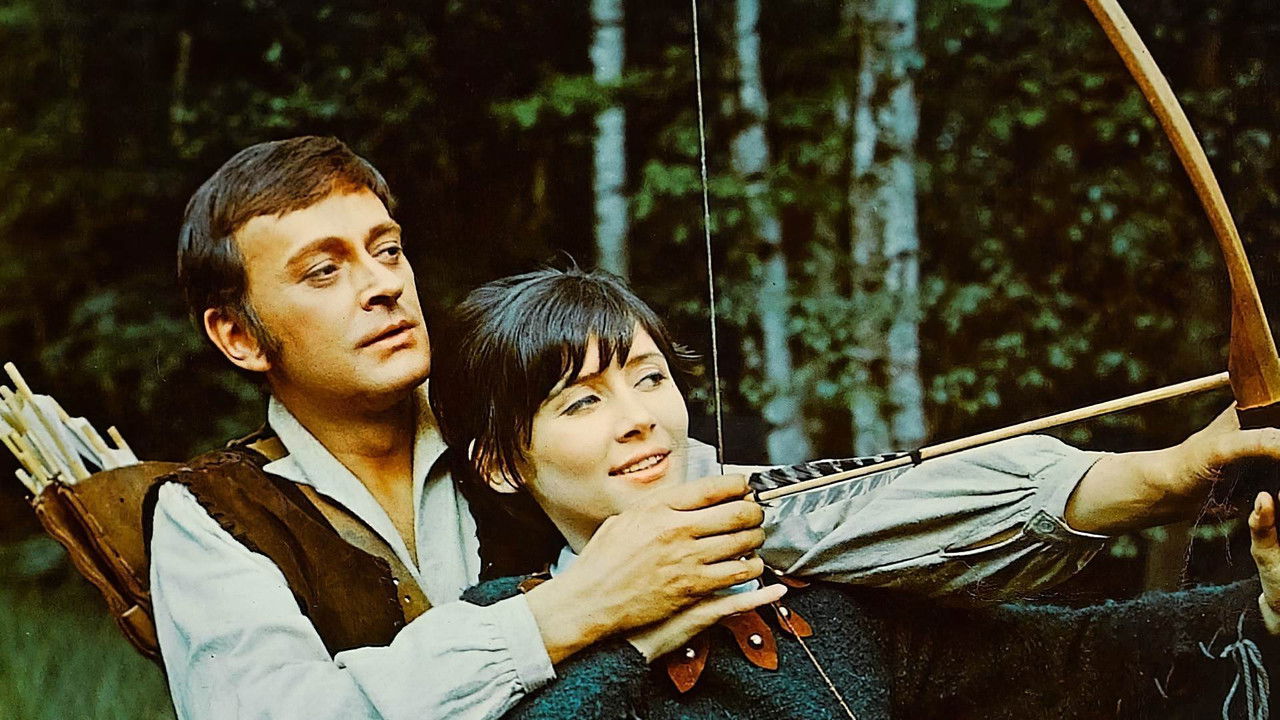 Backdrop image for movie A Challenge for Robin Hood