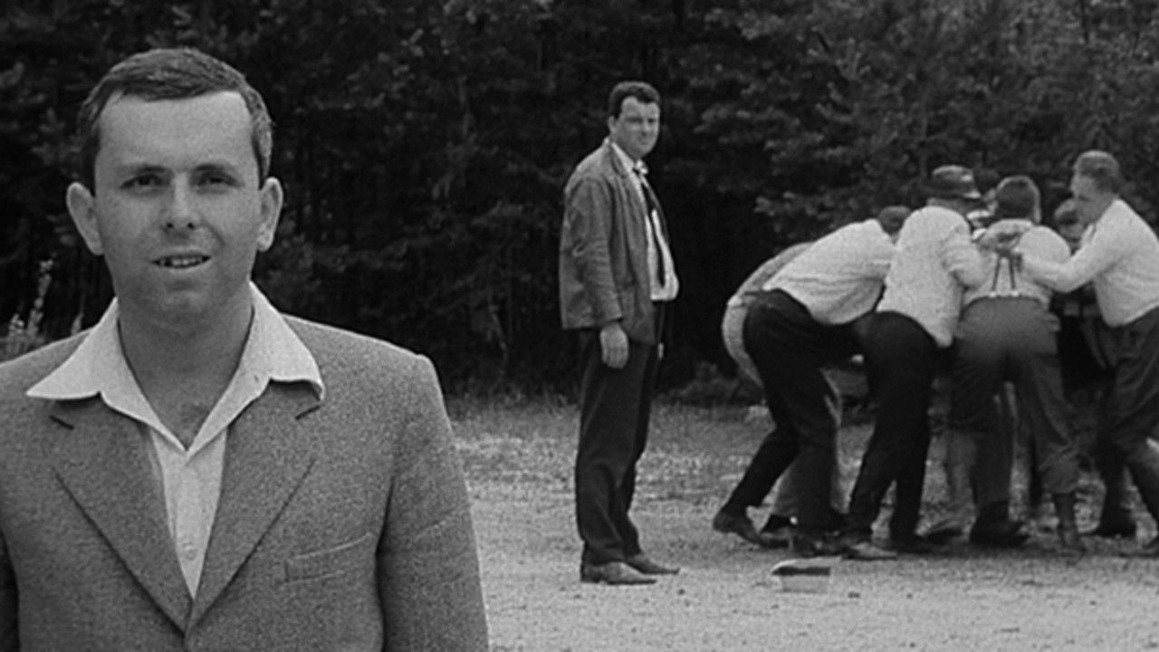 Backdrop image for movie The Party and the Guests