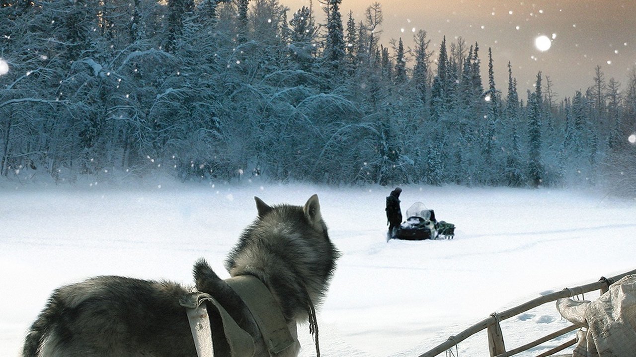 Backdrop image for movie Happy People: A Year in the Taiga