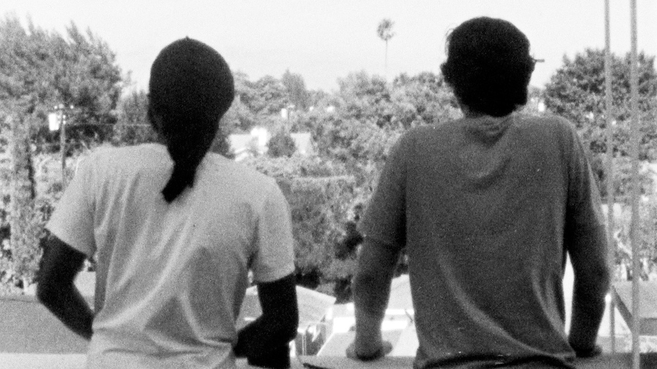 Backdrop image for movie freestyle