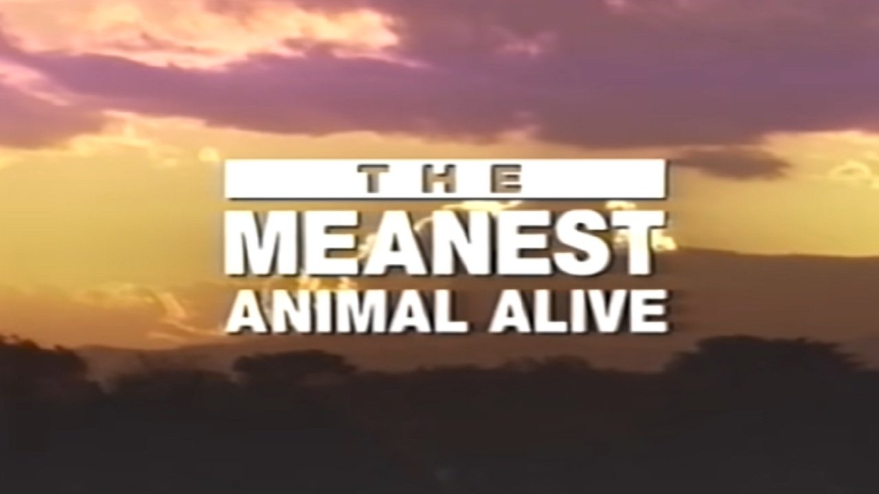 Backdrop image for movie Time Life Animal Oddities: The Meanest Animal Alive