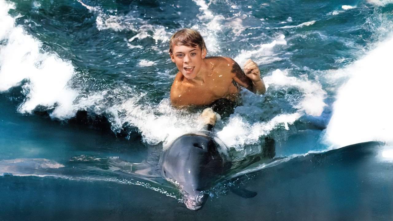 Backdrop image for movie Flipper