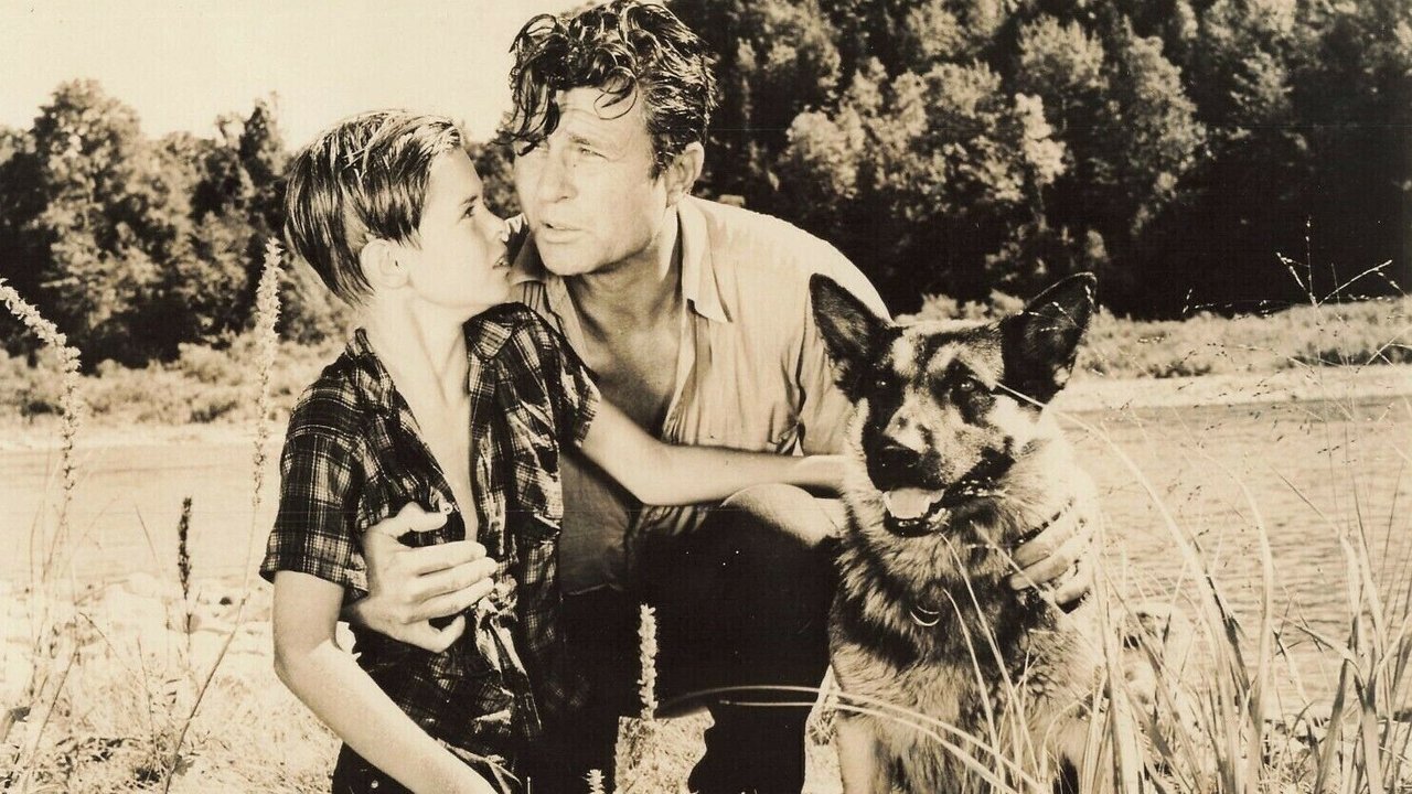 Backdrop image for movie Wolf Dog