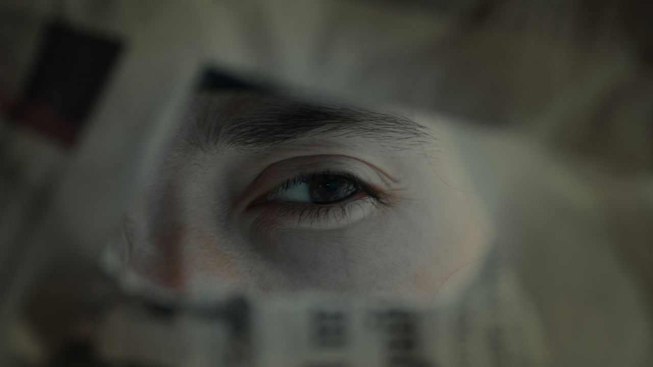 Backdrop image for movie CINEXIN