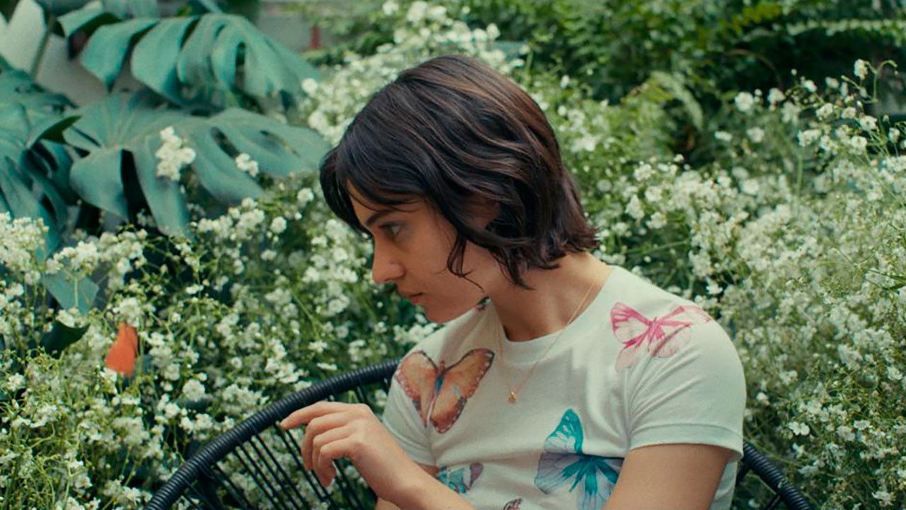 Backdrop image for movie Crisálida