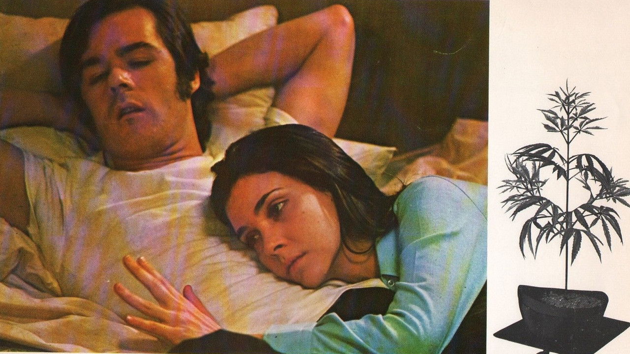 Backdrop image for movie Dealing: Or the Berkeley-to-Boston Forty-Brick Lost-Bag Blues