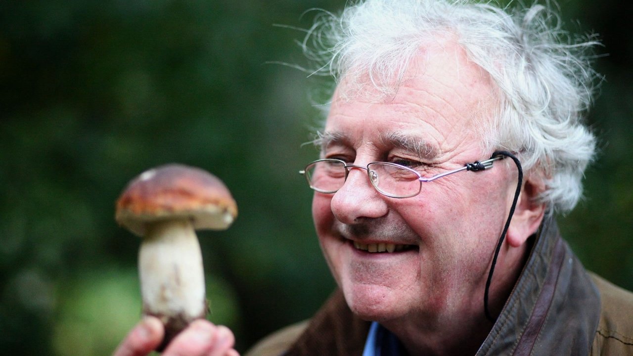 Backdrop image for movie The Magic of Mushrooms