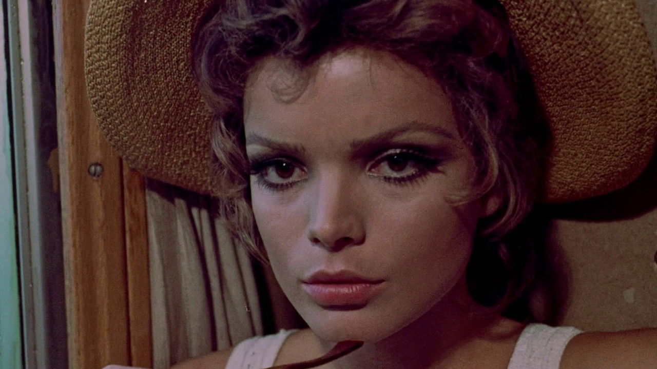 Backdrop image for movie The Females