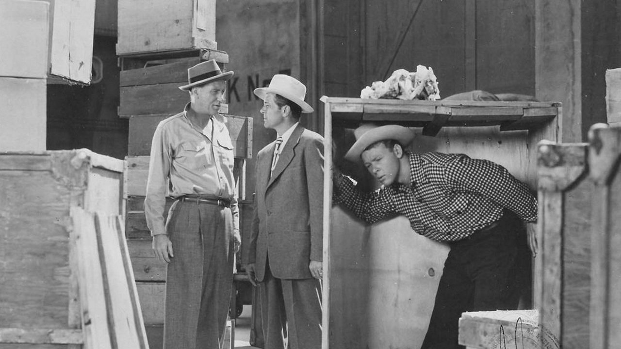 Backdrop image for movie Bruce Gentry