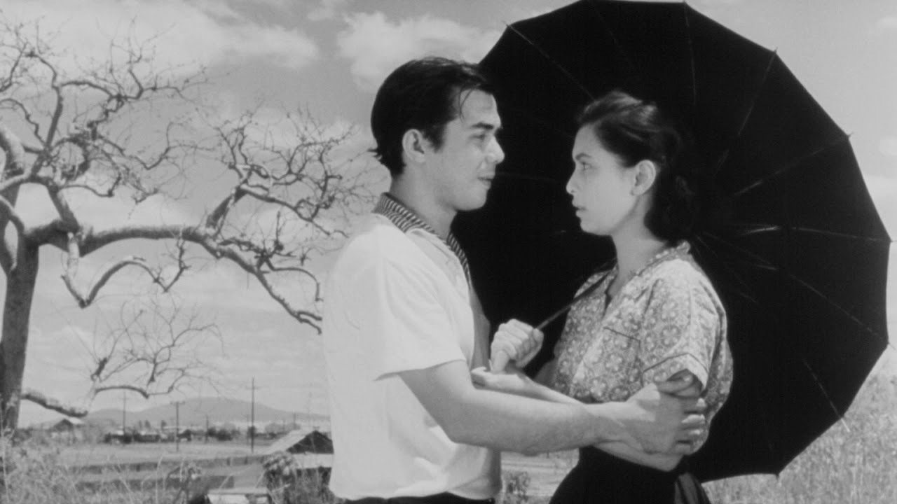Backdrop image for movie Malvarosa