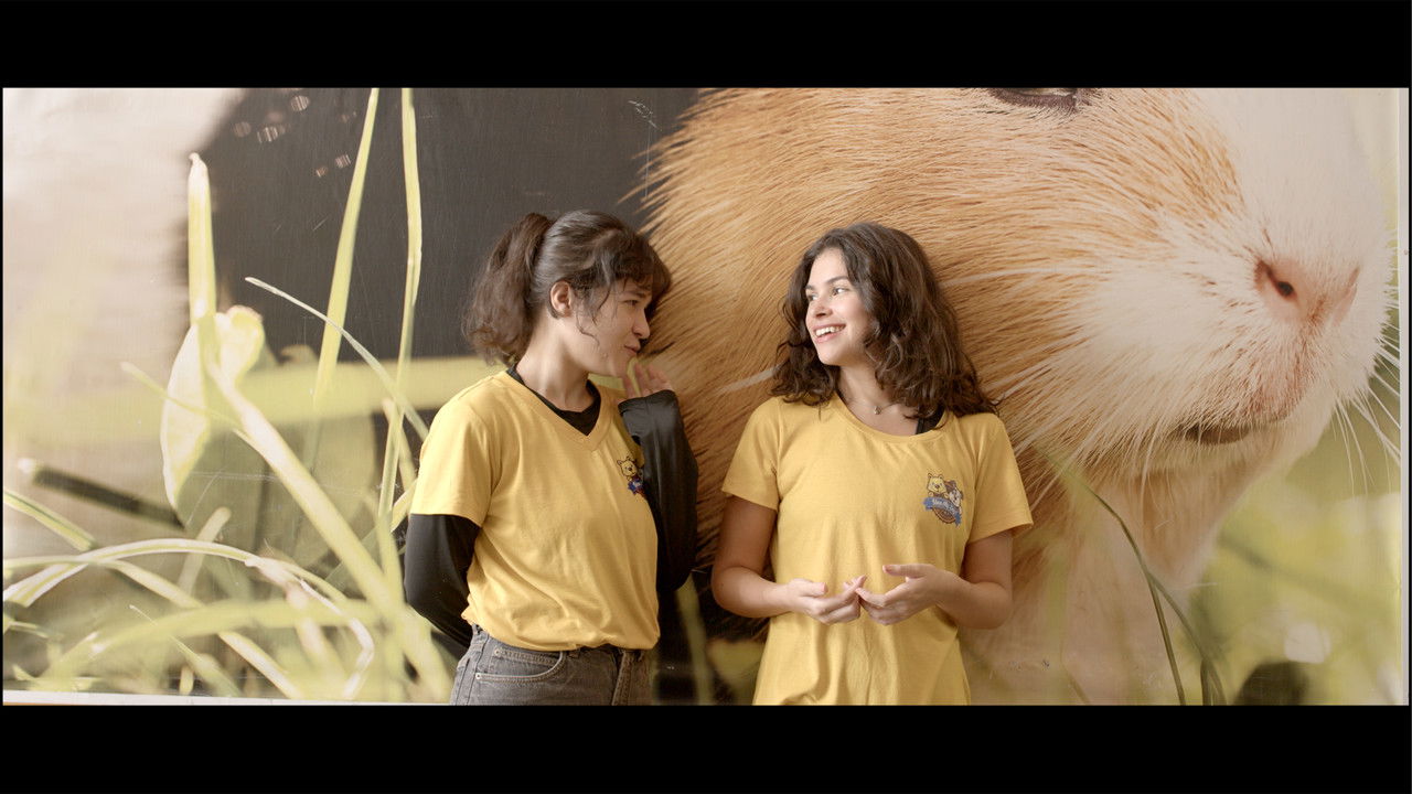 Backdrop image for movie Chrysalis