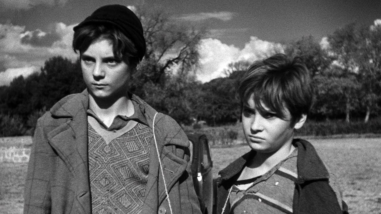 Backdrop image for movie Shoeshine