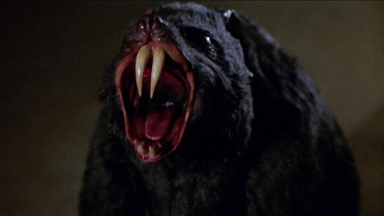 Backdrop image for movie Deadly Eyes